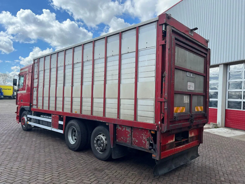 DAF XF FAR 95XF.380 EURO 2 - Livestock truck: picture 5 DAF XF FAR 95XF.380 EURO 2 - Livestock truck: picture 5