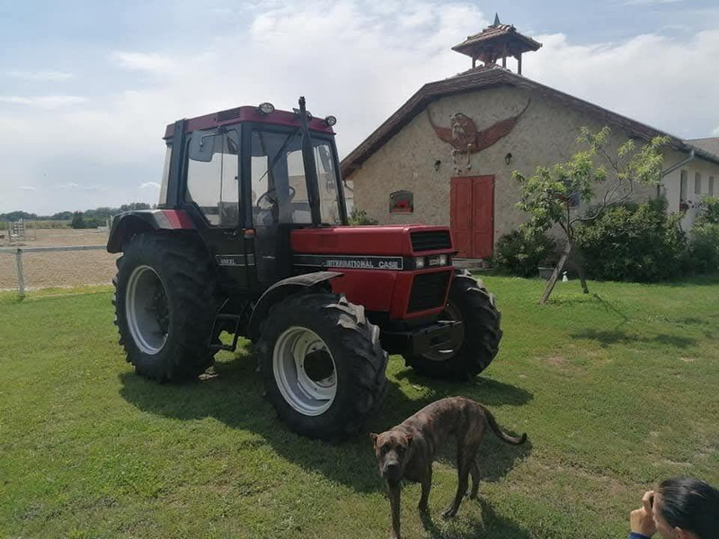 Case IH 856 XL - Farm tractor: picture 4 Case IH 856 XL - Farm tractor: picture 4