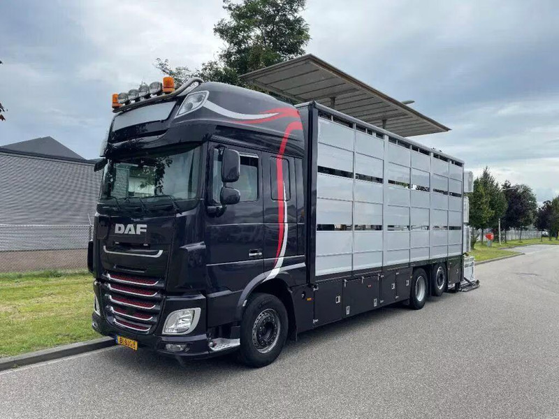 DAF XF 460 - Animal transporter - Livestock truck: picture 3 DAF XF 460 - Animal transporter - Livestock truck: picture 3