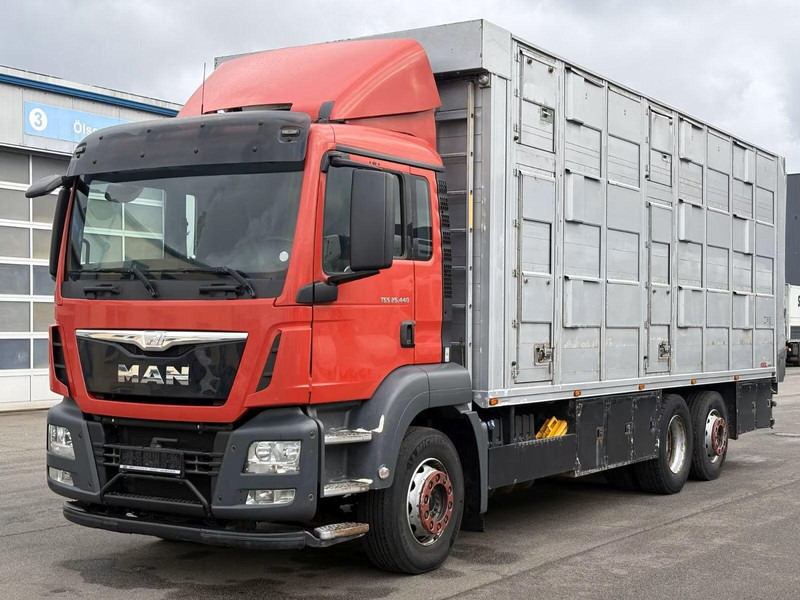 MAN TGS 26.440 - Animal transporter - Livestock truck: picture 1 MAN TGS 26.440 - Animal transporter - Livestock truck: picture 1