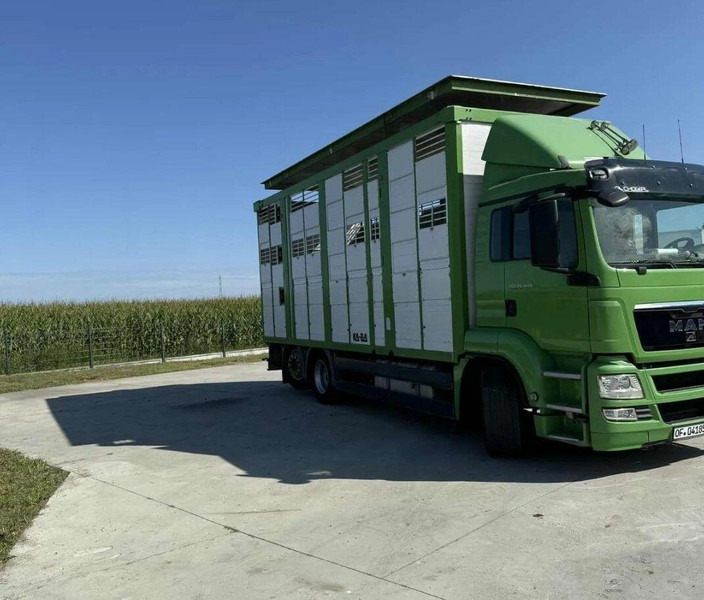 MAN TGS 26.440 Livestock Transporter - Three Deck - Livestock truck: picture 4 MAN TGS 26.440 Livestock Transporter - Three Deck - Livestock truck: picture 4