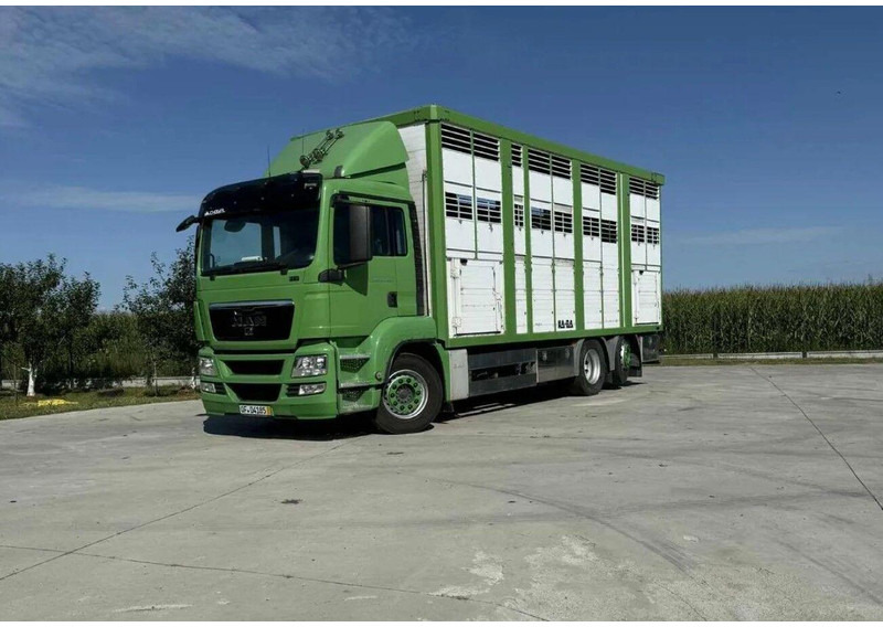 MAN TGS 26.440 Livestock Transporter - Three Deck - Livestock truck: picture 1 MAN TGS 26.440 Livestock Transporter - Three Deck - Livestock truck: picture 1