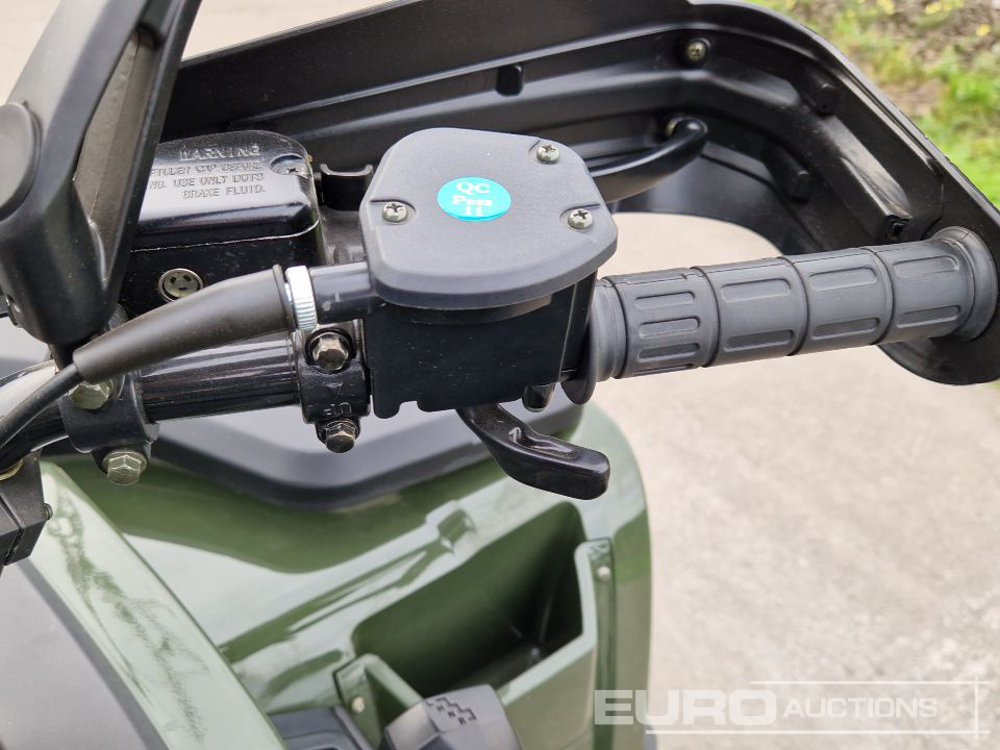 Side-by-side/ ATV Unused TAO Motors TGA300F: picture 24