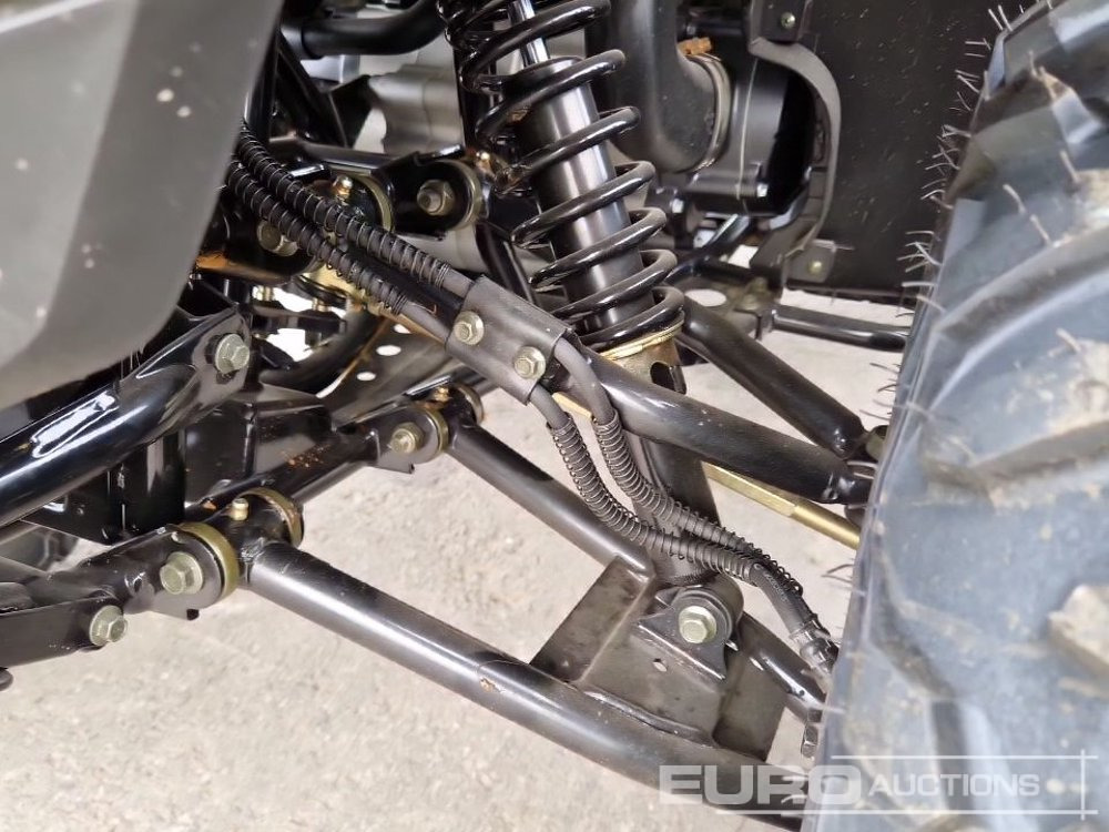 Side-by-side/ ATV Unused TAO Motors TGA300F: picture 14