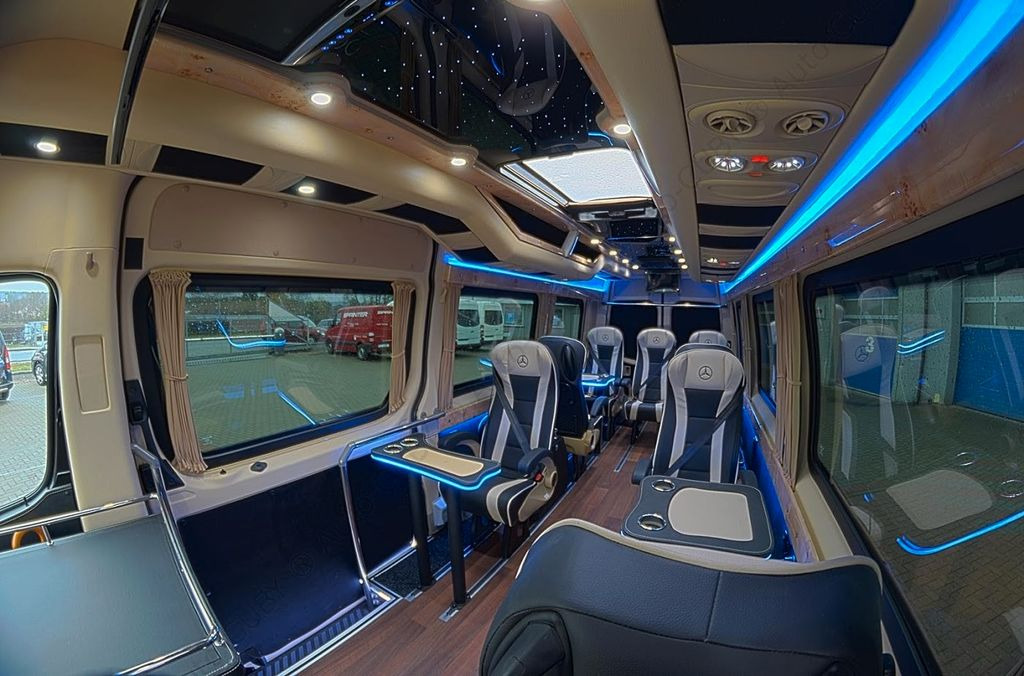 Minibus, Passenger van Mercedes-Benz Sprinter 319 VIP 8+1: picture 7