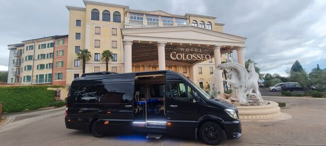 Mercedes-Benz Sprinter 319 VIP 8+1 - Minibus, Passenger van: picture 1 Mercedes-Benz Sprinter 319 VIP 8+1 - Minibus, Passenger van: picture 1