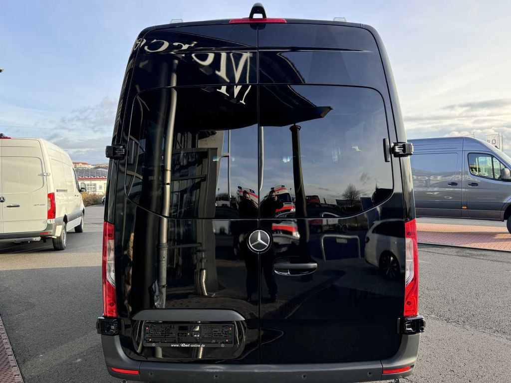 Minibus, Passenger van Mercedes-Benz Sprinter 317 CDI Rollstuhl-/Behinderten-Lift AMF: picture 7