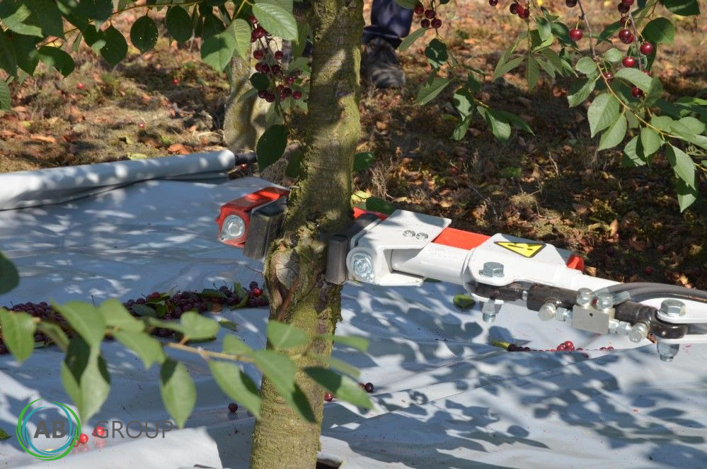 Jagoda fruits shaker PESTKA - Garden equipment: picture 3 Jagoda fruits shaker PESTKA - Garden equipment: picture 3