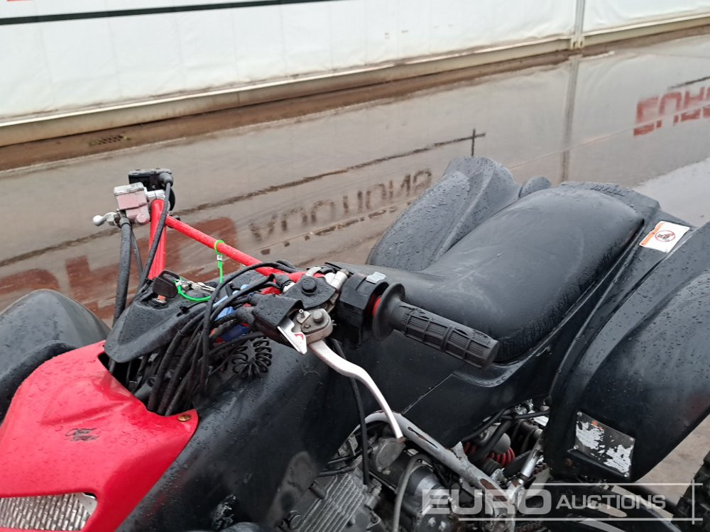 Side-by-side/ ATV Yamaha RAPTOR 660: picture 16