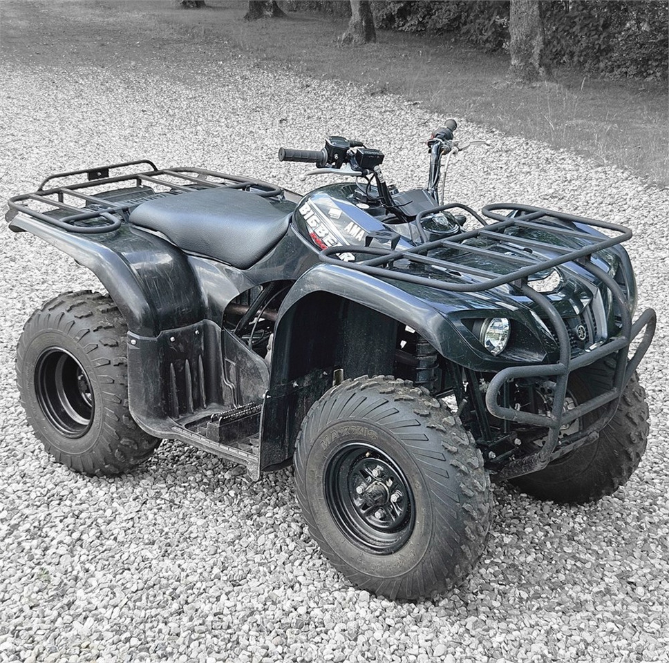Yamaha YFM 250 - Side-by-side/ ATV: picture 1 Yamaha YFM 250 - Side-by-side/ ATV: picture 1