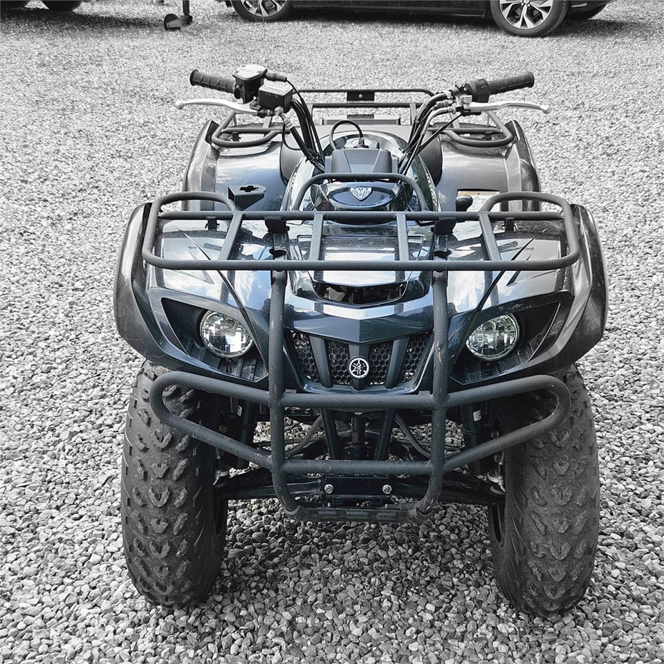 Yamaha YFM 250 - Side-by-side/ ATV: picture 2 Yamaha YFM 250 - Side-by-side/ ATV: picture 2