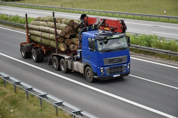 VOLVO FH16 700 6×4 - Logging truck: picture 2 VOLVO FH16 700 6×4 - Logging truck: picture 2
