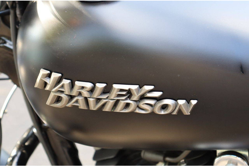 Motorcycle Harley-Davidson Dyna Street Bob: picture 18