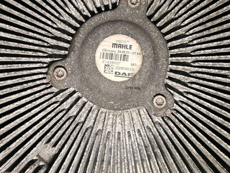 DAF - Fan: picture 3 DAF - Fan: picture 3