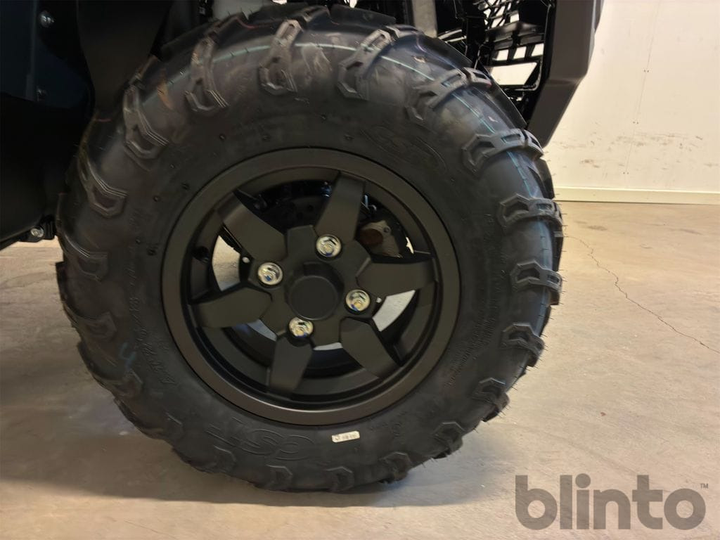 Side-by-side/ ATV KAWASAKI Brute Force 750: picture 9