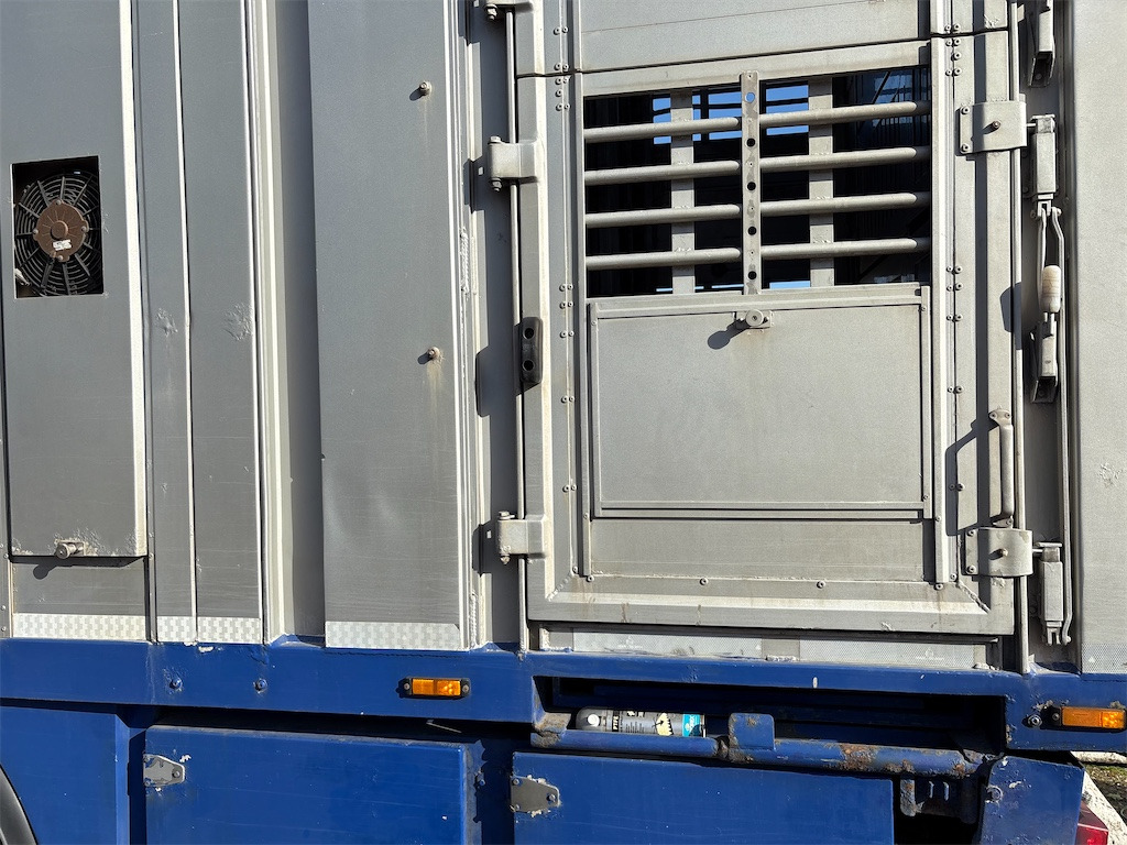 Livestock truck SCANIA R580: picture 36