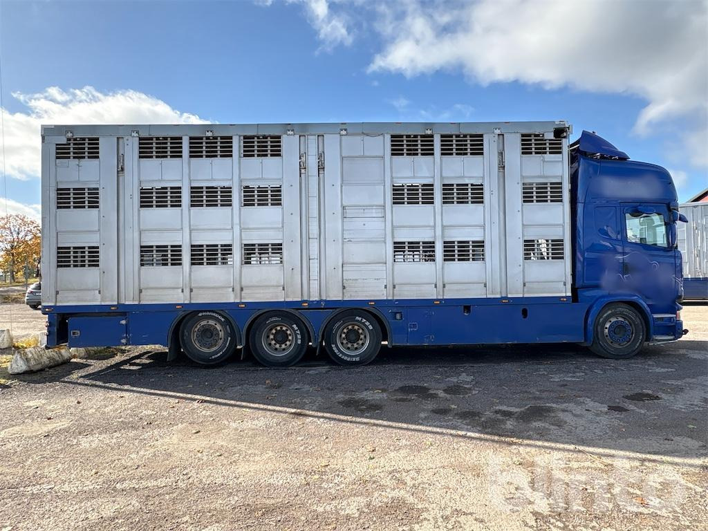 Livestock truck SCANIA R580: picture 7